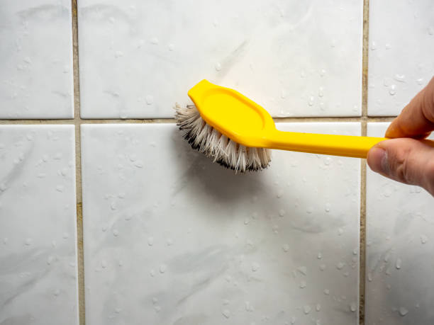 Best Bathroom Mold Remediation in Belterra, TX