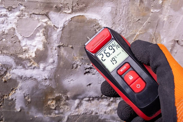 Best Post-Flood Mold Remediation in Belterra, TX